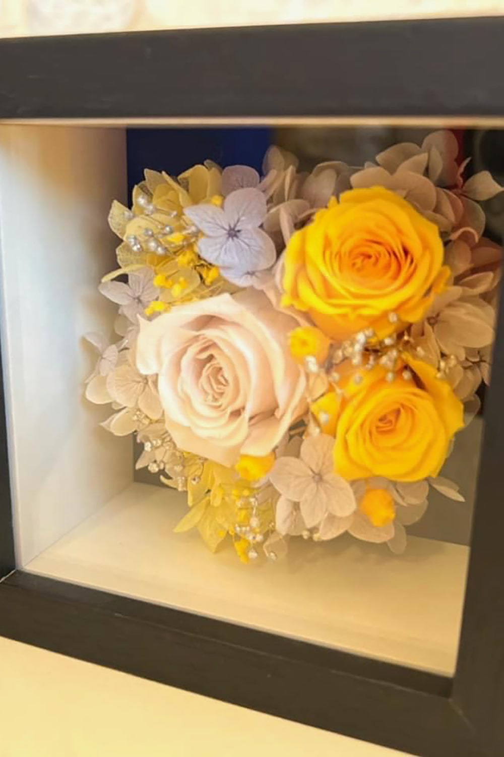 ディプロマベーシックコース