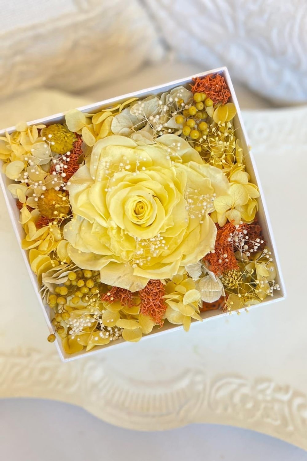 ディプロマベーシックコース